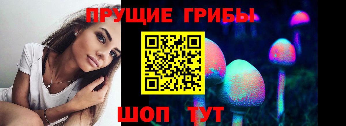 Псилоцибиновые грибы мухоморы  Галлюциногенные грибы Psilocybine cubensis  Моздок  Вход с VPN 